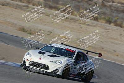 media/Nov-04-2023-CalClub SCCA (Sat) [[cb7353a443]]/Group 4/Cotton Corners (Race)/